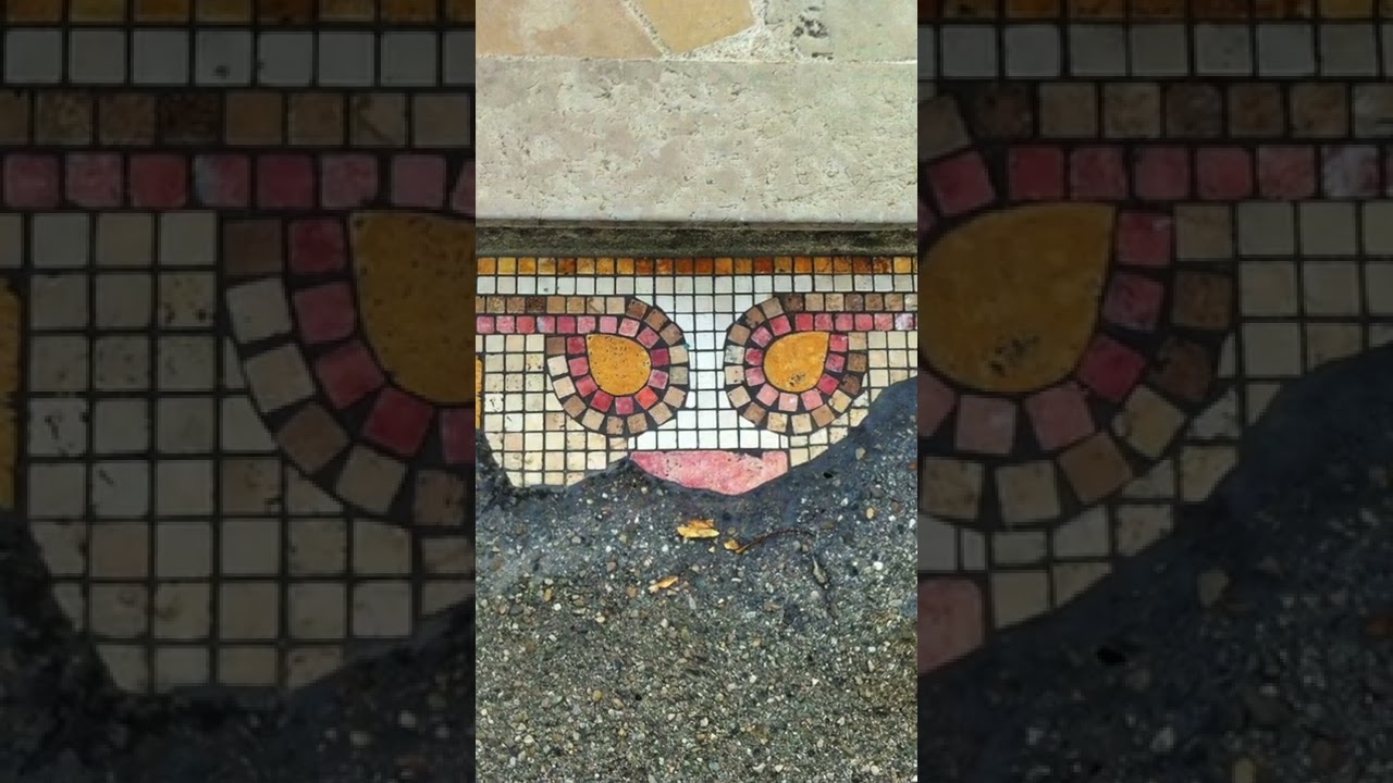 The Pavement Surgeon