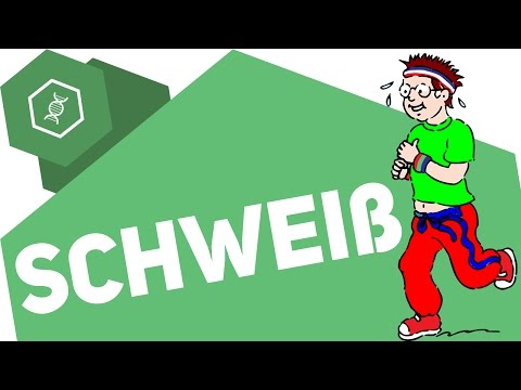 Haferkleie in Diabetes Typ 1 Die ersten Anzeichen und Ursachen von Diabetes in