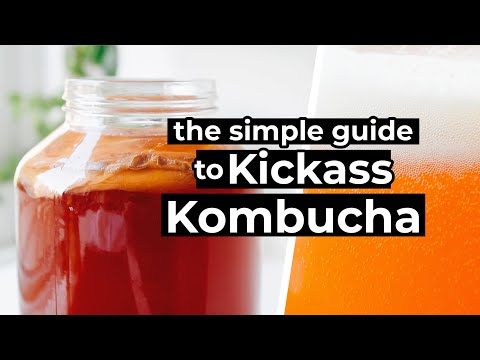 How To Brew Kombucha (The Ultimate Guide!)