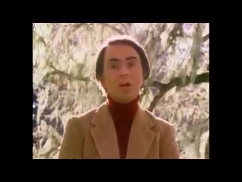 Astronomer Carl seagan Origin of Universe Hinduism