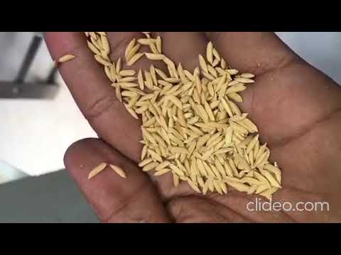 Fine Cleaner Cum Seed Grader