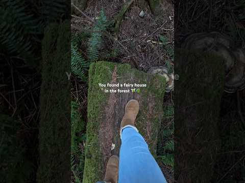 Found a little fairy house hidden in the forest🌱#forest #fairyhouse #nature #hiking #pnw #explore