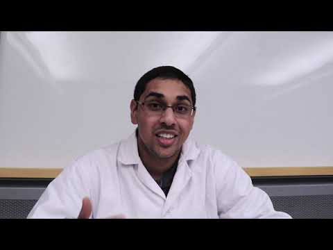 Eradicating Smallpox   The Most Famous Success Story