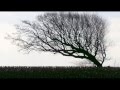 Nature Sounds - Relaxing Sound of the Wind ...