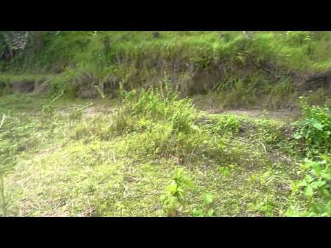 enduro pinas zds with the aurora trail adyks