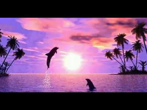 Wag Sya [Song Lyrics]|Song by Ex Battalion