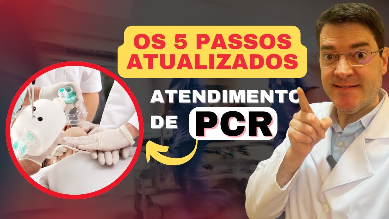 Os 5 passos atualizados para conduzir PCR