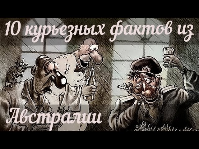10 интересных фактов, которые вас удивят