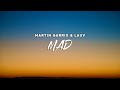 Martin Garrix & Lauv - MAD (Lyrics)