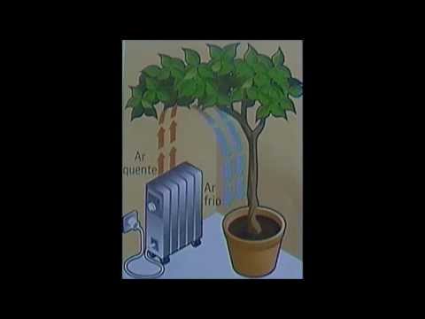 Mecanismo de Transferência de Energia /eshm grupo 10 / 7ºD