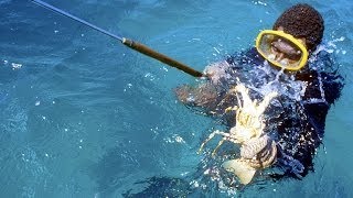 Tails from the islands (1986)