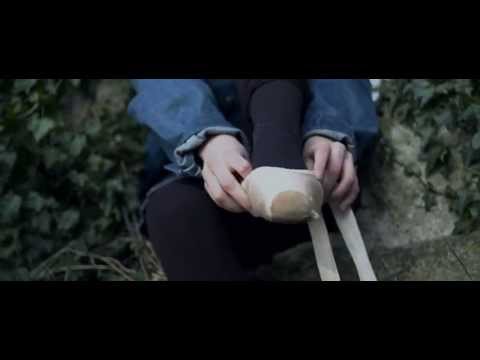 Big Sixes - Swallowing Flies (2013) || www.bigsixes.com