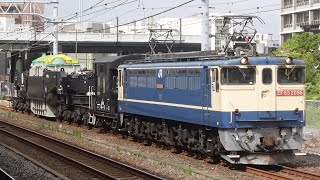 EF65-2096+ヨ8629+シキ801 特大貨物 辻堂駅通過