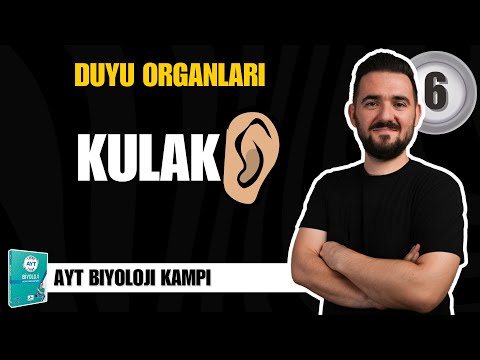 AYT Biology Camp | DAY 6 | Sense Organs - Ear | yks2025