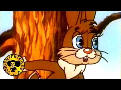 На лесной тропе | Советские мультики про животных для детей