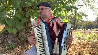 Bones (Inside of You) (Jeff Moss, Sesame Street, 1978) ... played on the accordion!