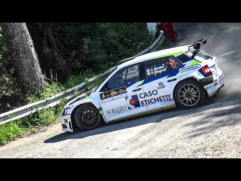 Rally Valli Oltrepò 2022 | MISTAKES [Video Brum Brum]