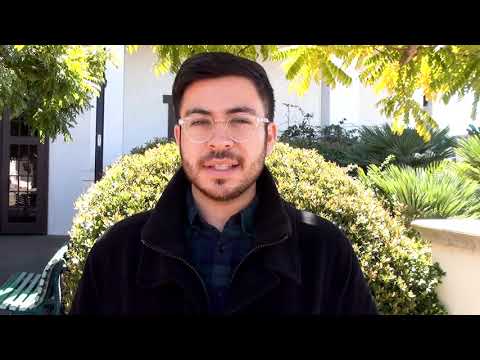 The Life and Times of an MPP student