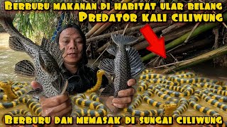Download lagu DEDE INOEN HARVESTS PREDATORS IN THE CILIWUNG RIVER mp3 Download lagu DEDE INOEN HARVESTS PREDATORS IN THE CILIWUNG RIVER mp3