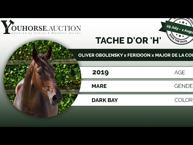 Tache D'or