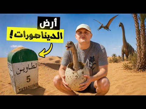 رحلتي عبر الزمن في الصحراء التونسية 🇹🇳 | كيف كانت تونس قبل 100 مليون سنة ؟