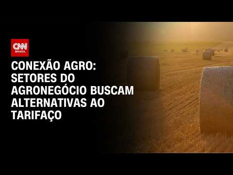 Setores do agronegócio buscam alternativas ao tarifaço | CNN NOVO DIA