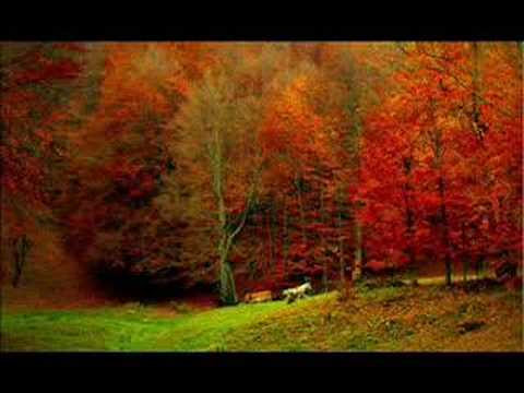 Cântecul străinătăţii – Tudor Gheorghe