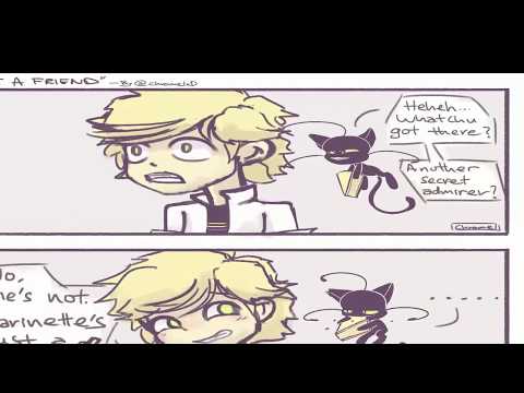 Miraculous Ladybug Comics "I Got Some News For You Adrien"