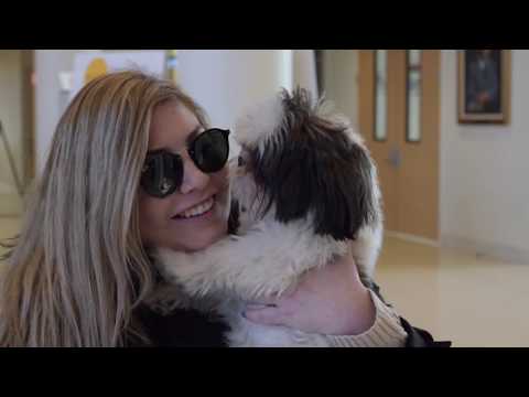 Preview Night Spring 2019 | Alpha Sigma Alpha at Rowan University