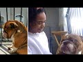 Meet viral pup Big Poppa and 'mom' Rashida Ellis