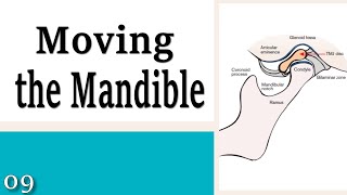Download Lagu 09 Moving the Mandible - Learning to Control Your Neck and Head Thumbnail