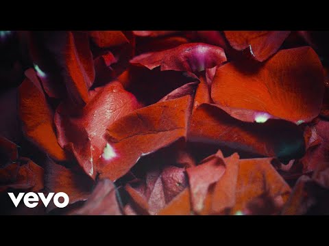 Wiplash - Después (Lyric Video)