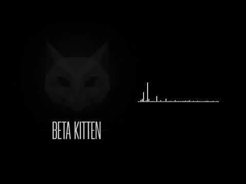 Beta Kitten - Ludwig