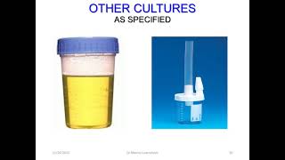 Dr Manny VV ECMO Learnshop part 8 Investigations