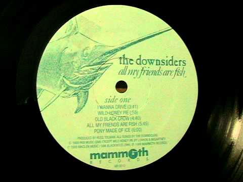 All My Friends Are Fish - The Downsiders