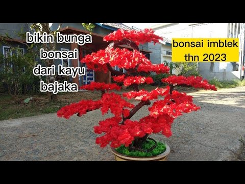 make new year's bonsai flowers from pirated wood year 2023