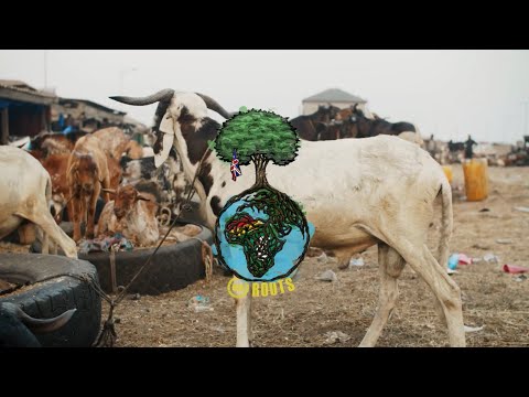 Video thumbnail for Roots