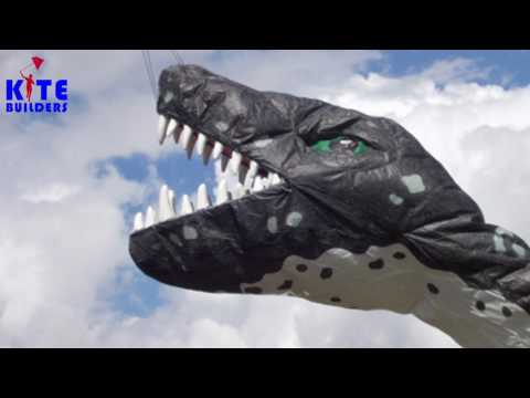 Rainer Hoffmann, der genialer Drachendesigner