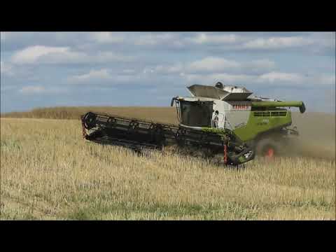 Claas, MacDon, Joskin, Fendt Raps dreschen 2021 3x Claas Lexion 770 TT