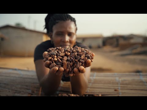 Make The World a Better Place - Fairtrade and the Sustainable Developement Goals (English)