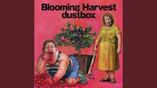 Download lagu Bird of Passage mp3 Download lagu Bird of Passage mp3