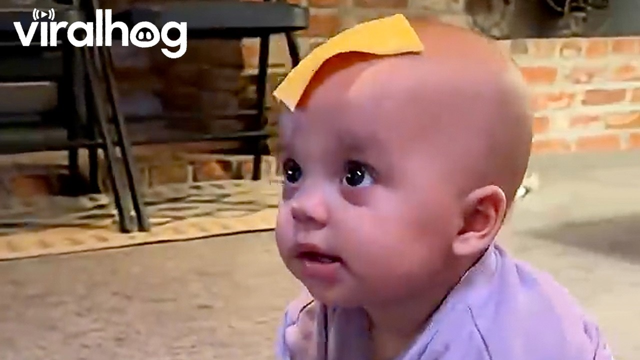 New Parenting Technique Just Dropped || ViralHog