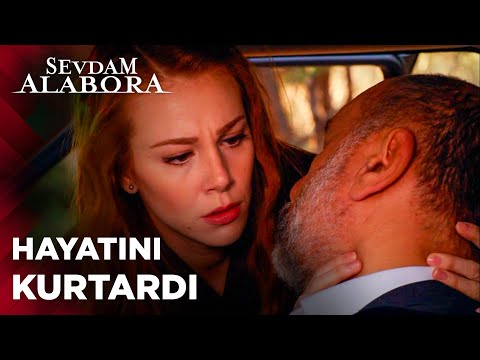 Veteriner Zeynep, nefret ettiği adamın hayatını kurtardı - Sevdam Alabora 3. Bölüm