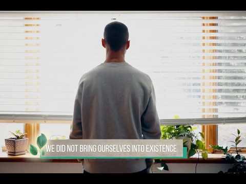 Purpose of This Life