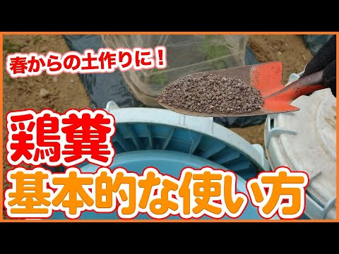 鶏糞を肥料として使用する: 庭の自然の驚異 + ビデオチュートリアル  庭園