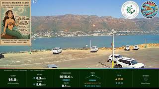 🌊 Starboard Coffee Company – Ocean view Live stream from Harbour Island, Gordon’s Bay live webcam