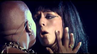 Il Faut Partir Lyrics English Translation