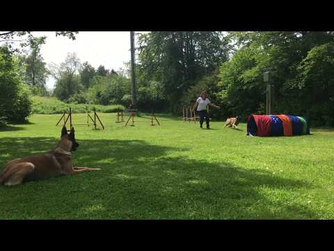 2018-05-21 Zugucken will auch gelernt sein 😉