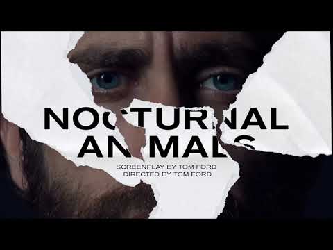 Nocturnal Animals - The Field