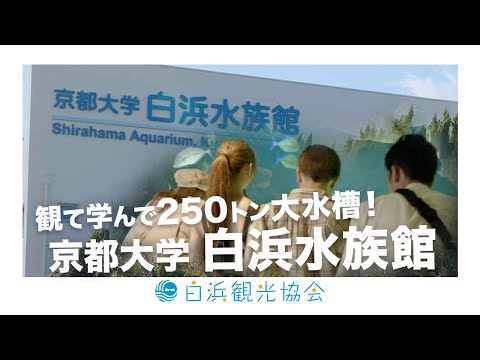 京都大学白浜水族館